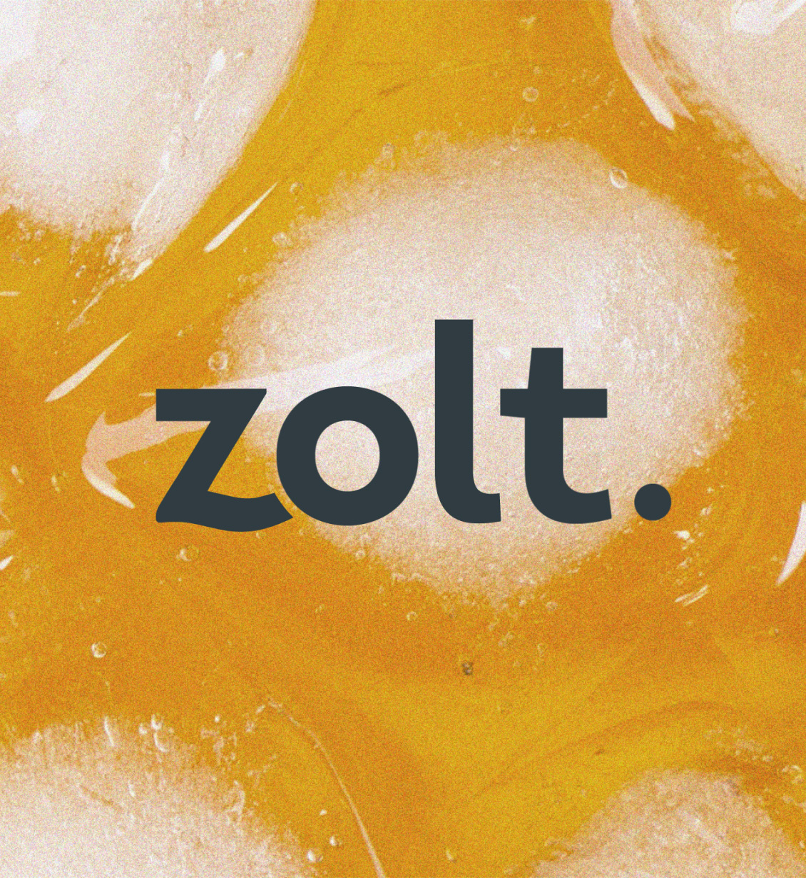 Zolt logo.